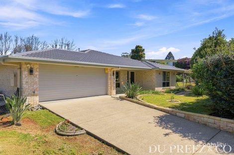 Property photo of 20 Macaranga Street Maleny QLD 4552