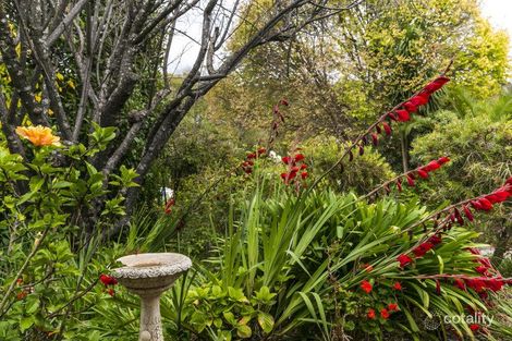 Property photo of 4 Daina Court Coromandel Valley SA 5051