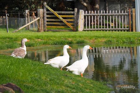 191 Nyes Gates Rd, Millthorpe, NSW 2798