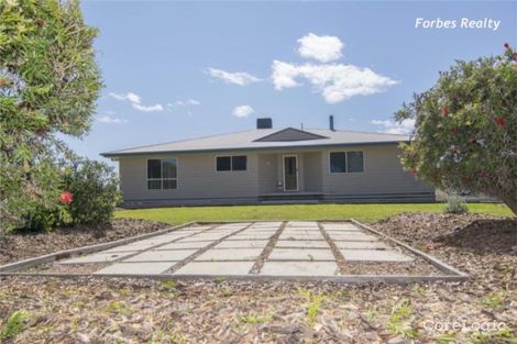 Property photo of 25 Parkers Avenue Dalby QLD 4405