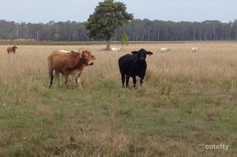 329 Amarina Rd, Coombell, NSW 2470