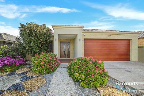 Property photo of 34 Whitetop Drive Point Cook VIC 3030