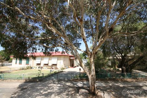 24 Dalby Ave, Morphettville, SA 5043
