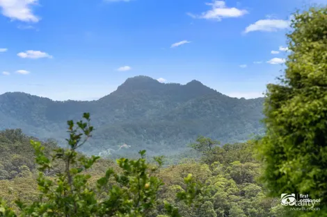 Property photo of 105 Glencoe Road North Arm NSW 2484