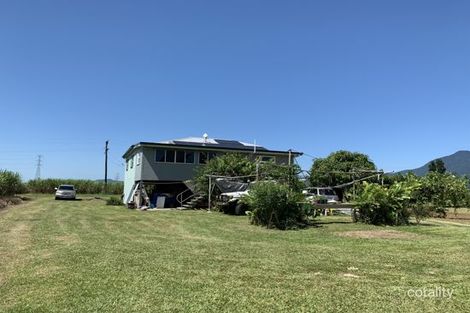 Property photo of 97 Dickson Road Babinda QLD 4861