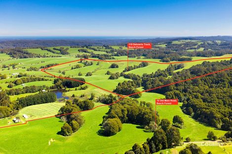 10 Old Main Rd, Beech Forest, VIC 3237