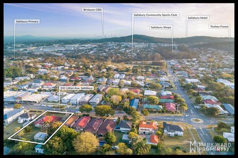 Property photo of 241 Lillian Avenue Salisbury QLD 4107