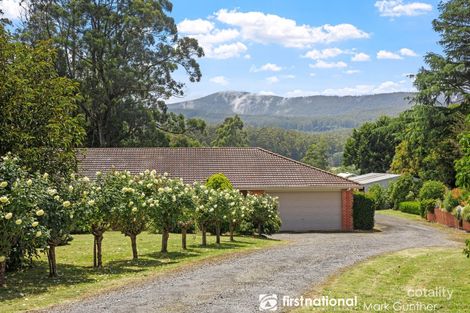 Property photo of 1376 Myers Creek Road Toolangi VIC 3777