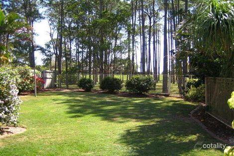Property photo of 19 Swordfish Court Birkdale QLD 4159