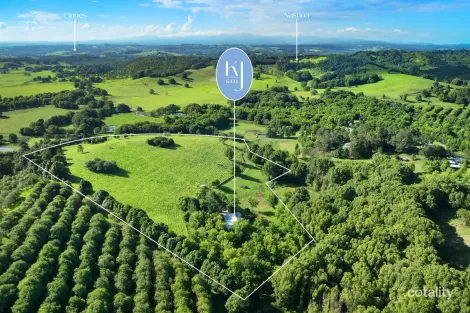 82 Tooheys Mill Rd, Pearces Creek, NSW 2477