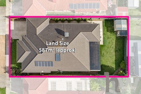 Property photo of 184 Bailey Street Grovedale VIC 3216