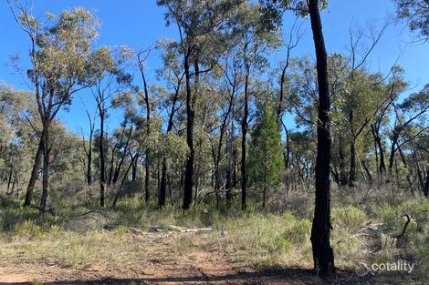 Property photo of 2111 Carlisle Road Fifield NSW 2875