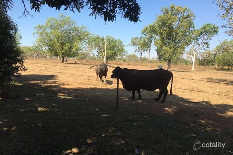 Property photo of 680 Miles Road Eva Valley NT 0822