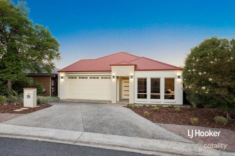 23 Swallow Ave, Modbury Heights, SA 5092