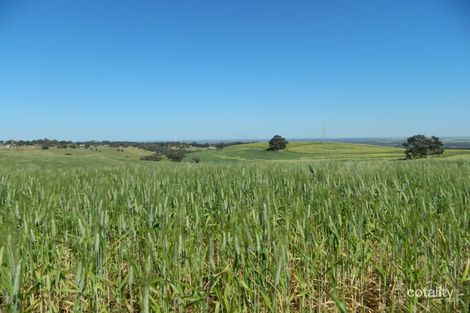 4 Gawler-One Tree Hill Rd, Bibaringa, SA 5118