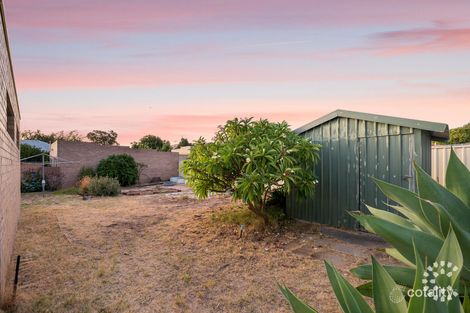 Property photo of 12 Bucat Street Hamilton Hill WA 6163