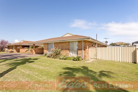 Property photo of 6/38 Preston Street East Bunbury WA 6230