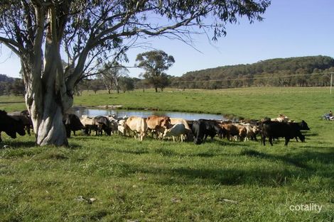 263 Niangala Stock Route Rd, Niangala, NSW 2354