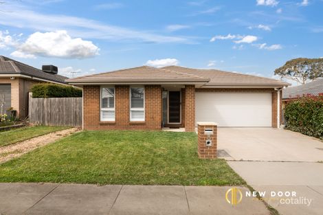 8 Muriel Stewart Cct, Bonner, ACT 2914