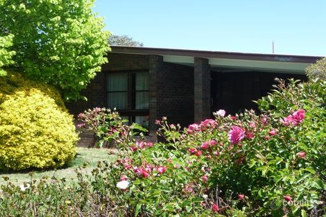 27 Wentworth St, Glen Innes, NSW 2370