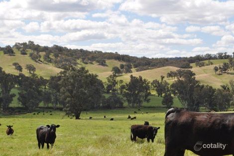 546 Humula Rd, Humula, NSW 2652