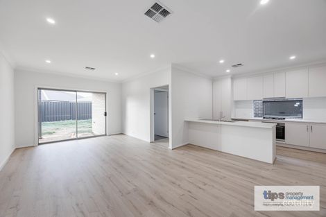 Property photo of 7 Cavatappi Street Angle Vale SA 5117