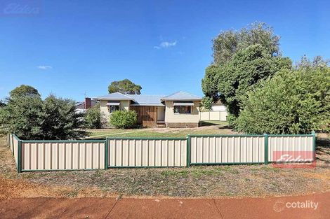 38 Bannister St, Narrogin, WA 6312