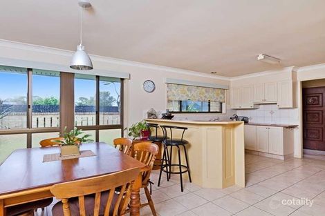 Property photo of 3 Biota Court Palm Beach QLD 4221