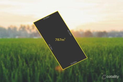 Property photo of 29 Richter Road Lyndoch SA 5351