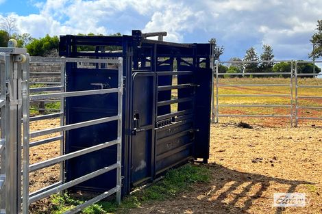 Property photo of 150 Elbow Road Merlwood QLD 4605