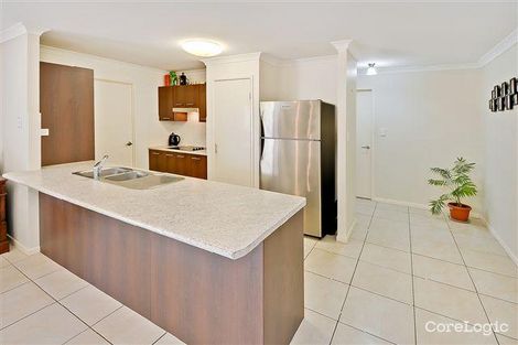 Property photo of 3 Macadam Court Palmwoods QLD 4555