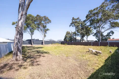Property photo of 38 Rita Street Thirlmere NSW 2572