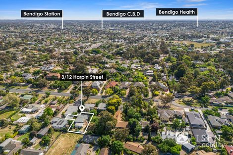 Property photo of 3/12 Harpin Street Strathdale VIC 3550