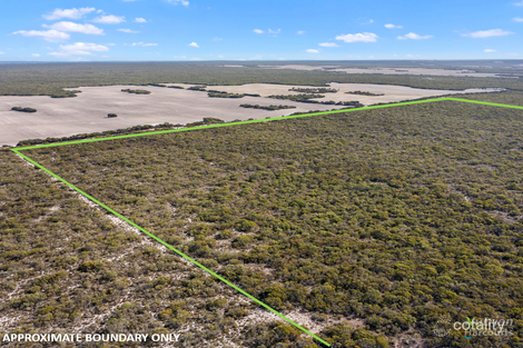 10 Hundred Line Rd, The Pines, SA 5577