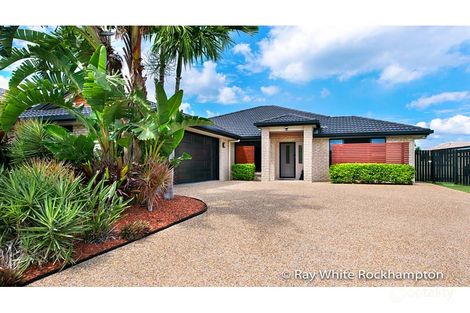 Property photo of 14 Laird Avenue Norman Gardens QLD 4701