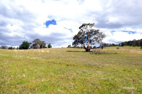 Property photo of Mount Darragh Road Wyndham NSW 2550