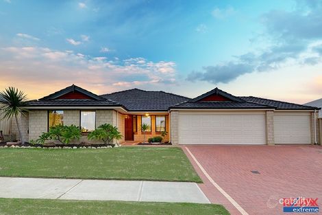 14 Shropshire Cres, Butler, WA 6036