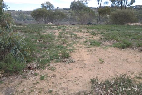Property photo of 15 The Heights Hillvue NSW 2340