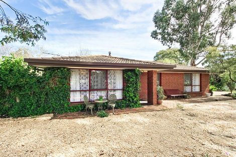 Property photo of 6 Lewis Avenue Mount Barker SA 5251