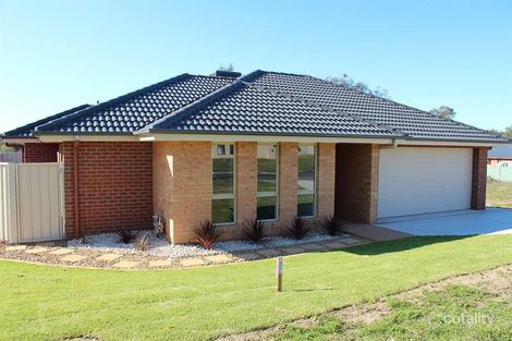 1/232 Vickers Rd, Lavington, NSW 2641