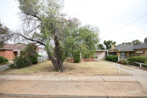 19 Andrew Ave, Marion, SA 5043
