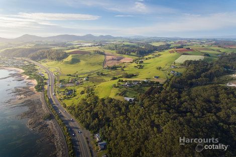 Property photo of 61 Reynolds Road Heybridge TAS 7316