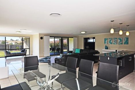 Property photo of 7 Galeff Place Bolwarra Heights NSW 2320