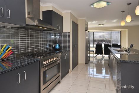 Property photo of 7 Galeff Place Bolwarra Heights NSW 2320