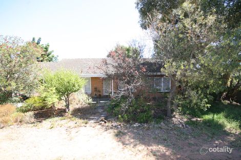Property photo of 15 Collett Avenue Netley SA 5037