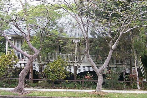 45 Nelson St, Corinda, QLD 4075