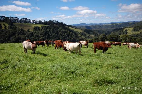 276 Nashs Rd, Deer Vale, NSW 2453