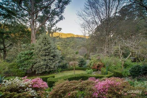 Property photo of 1 Wallaby Avenue Sassafras VIC 3787