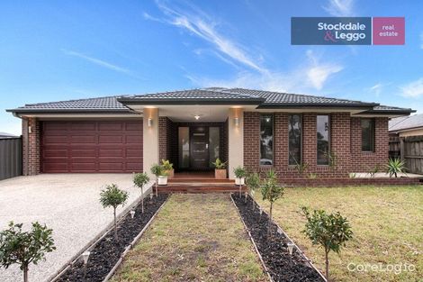 Property photo of 89 Hamilton Street Craigieburn VIC 3064