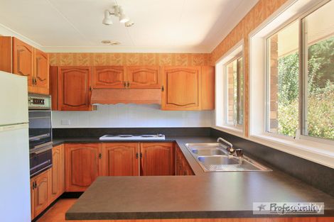 Property photo of 58 Wattle Drive Saumarez NSW 2350